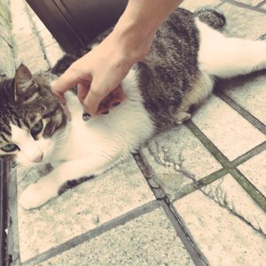 男人吃奶摸下面
